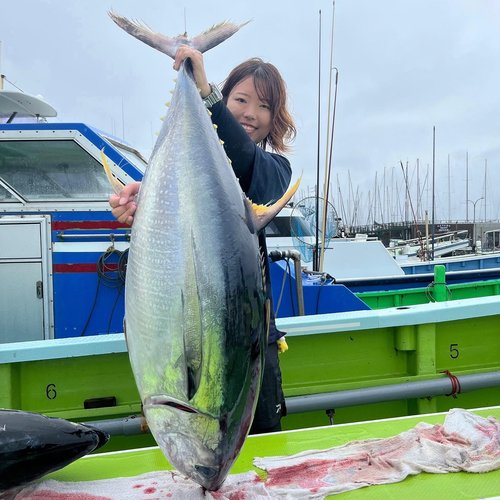 キハダマグロの釣果