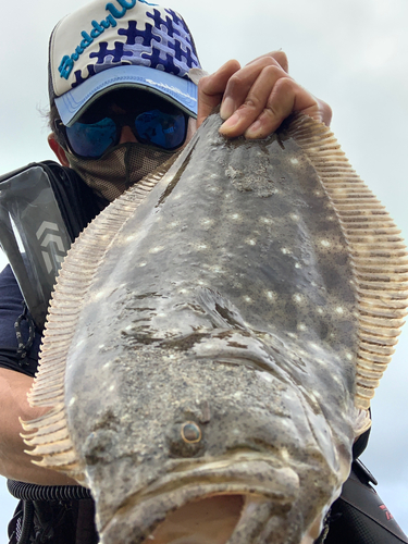 ヒラメの釣果