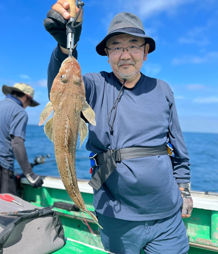 ワニゴチの釣果