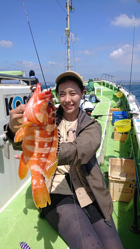 アカハタの釣果