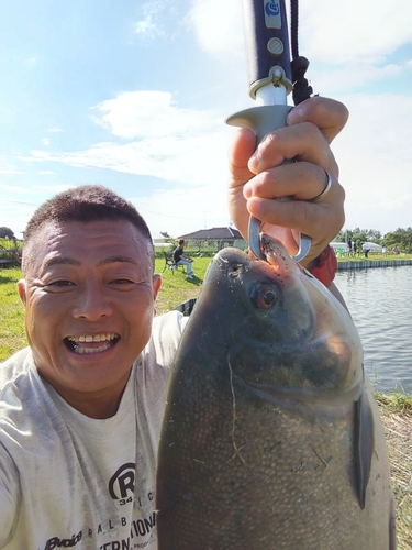 コロソマの釣果