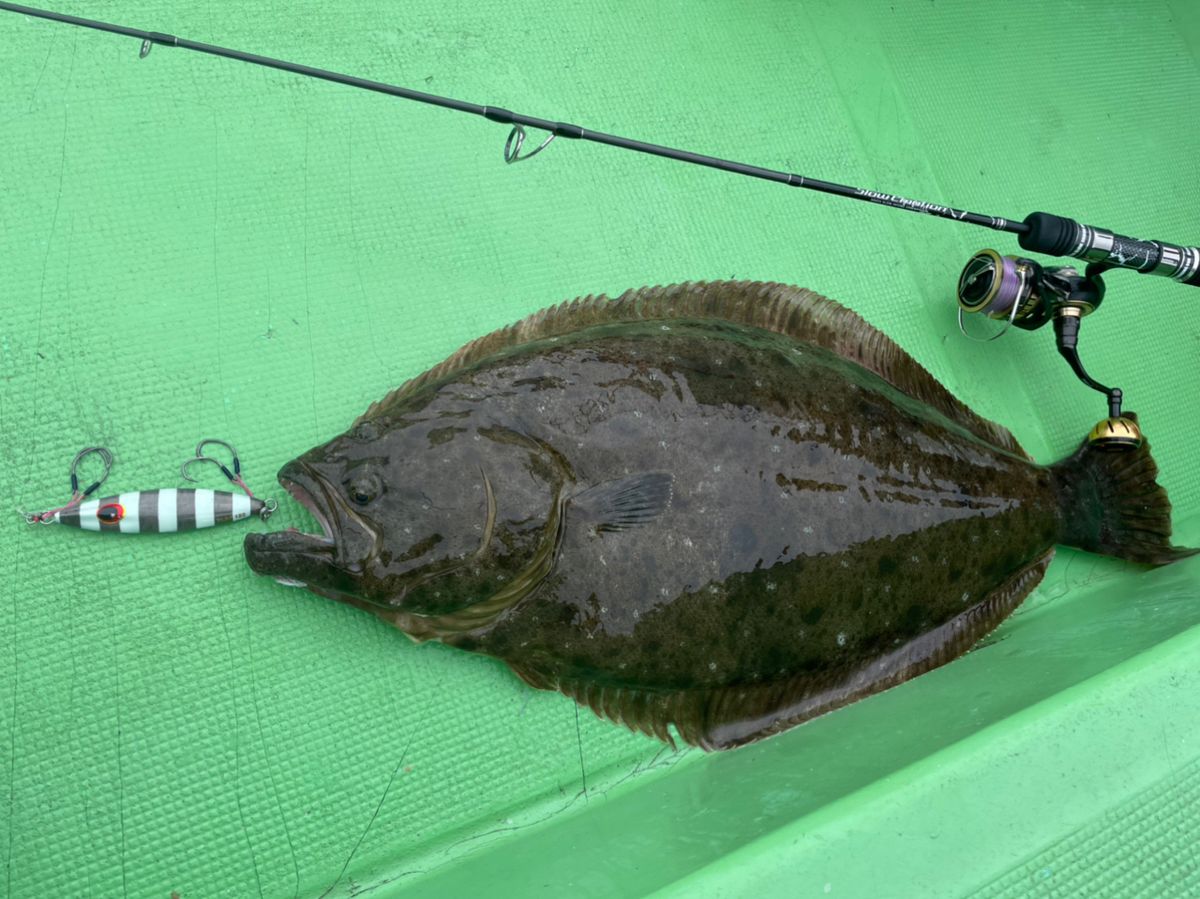 アッシー（H.ashihara）さんの釣果 2枚目の画像