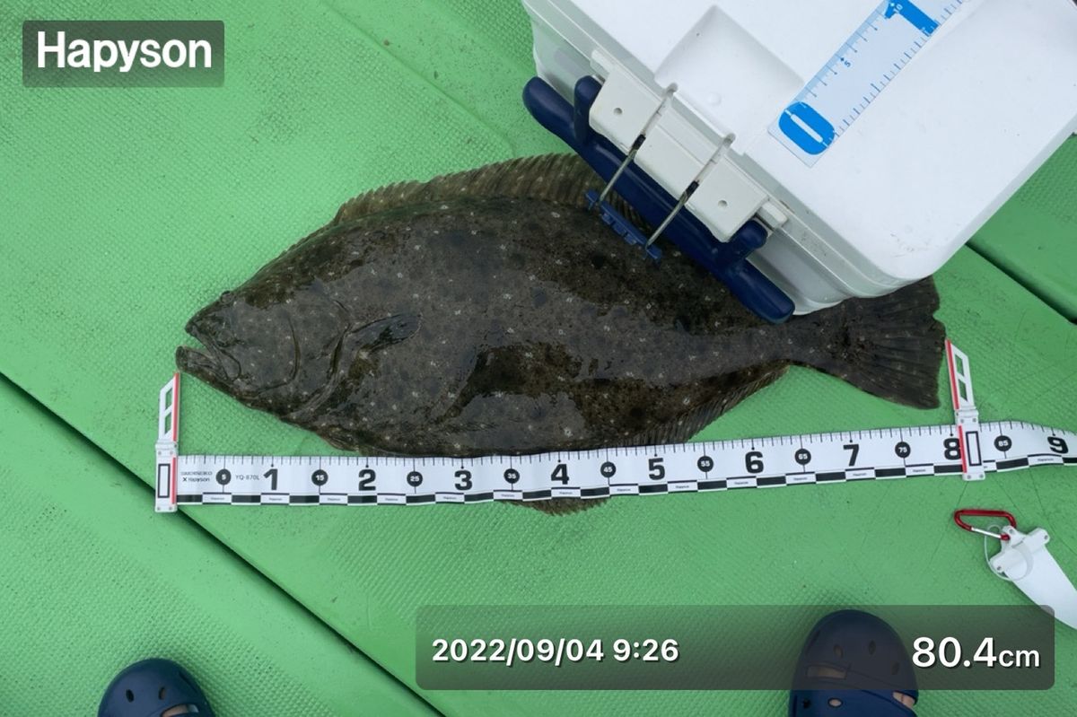 アッシー（H.ashihara）さんの釣果 3枚目の画像