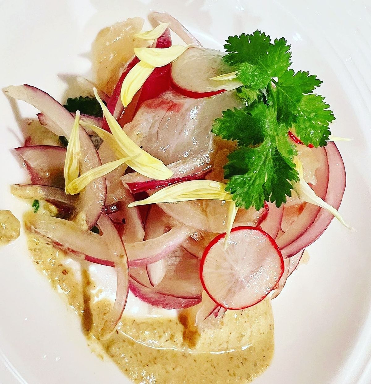 ROGGY(ろぎー)さんの釣果 2枚目の画像