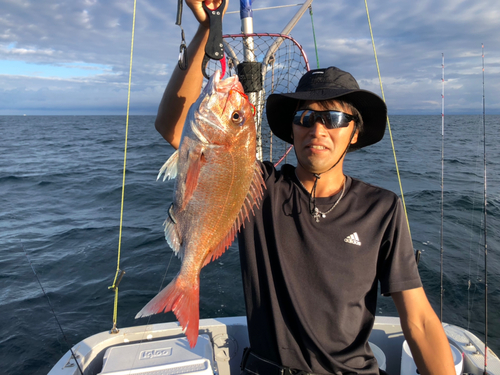 マダイの釣果