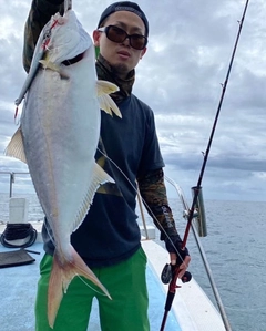 シオの釣果