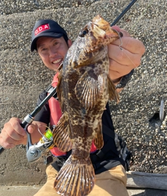 タケノコメバルの釣果