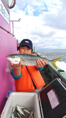 ツバスの釣果