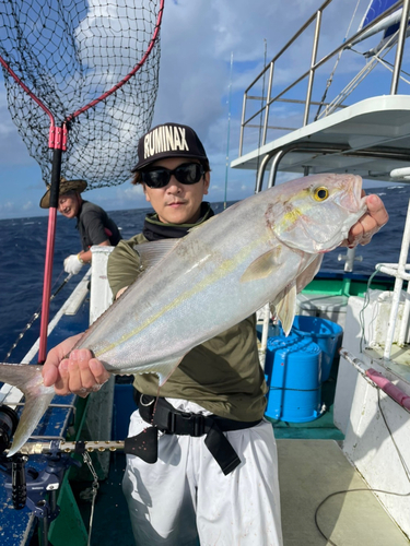 カンパチの釣果