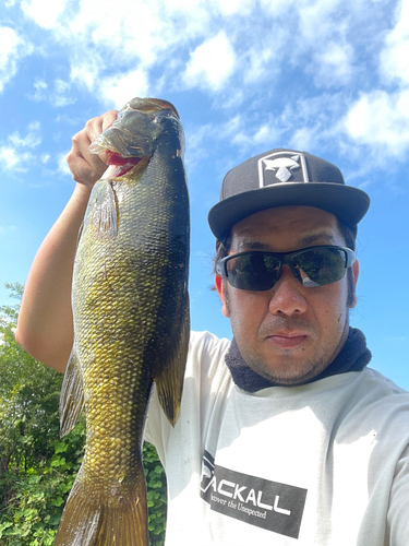 スモールマウスバスの釣果