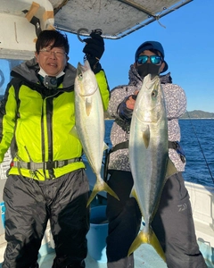 ハマチの釣果