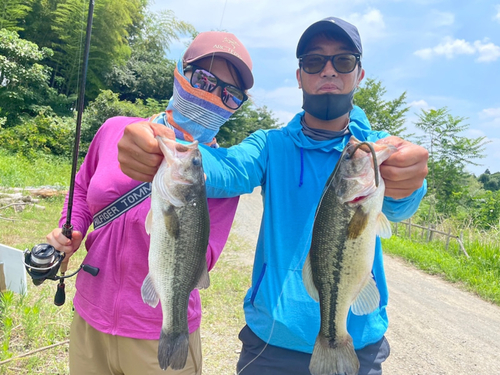 ブラックバスの釣果