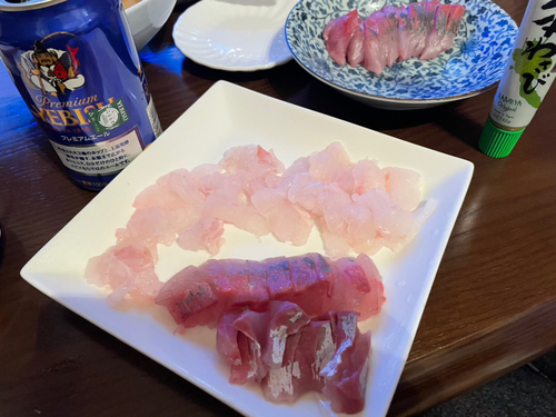 ワカシの釣果