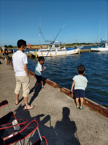 ハゼの釣果