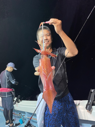 ケンサキイカの釣果