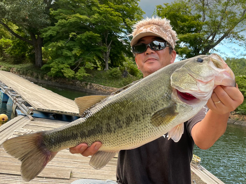 ブラックバスの釣果