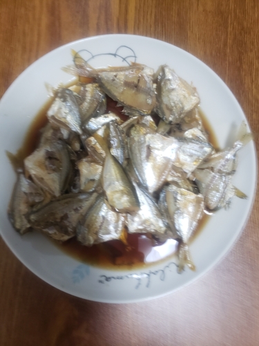 エノハの釣果