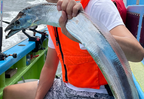 タチウオの釣果