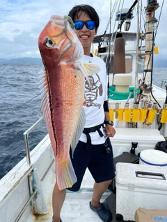 アマダイの釣果