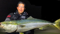 ワラサの釣果