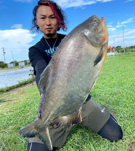 コロソマの釣果