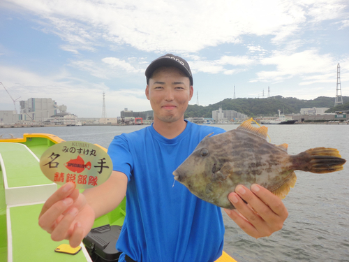 カワハギの釣果