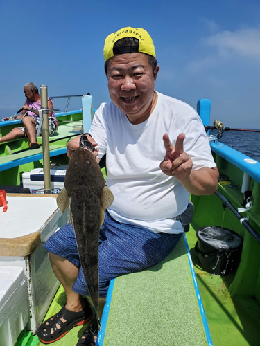 マゴチの釣果