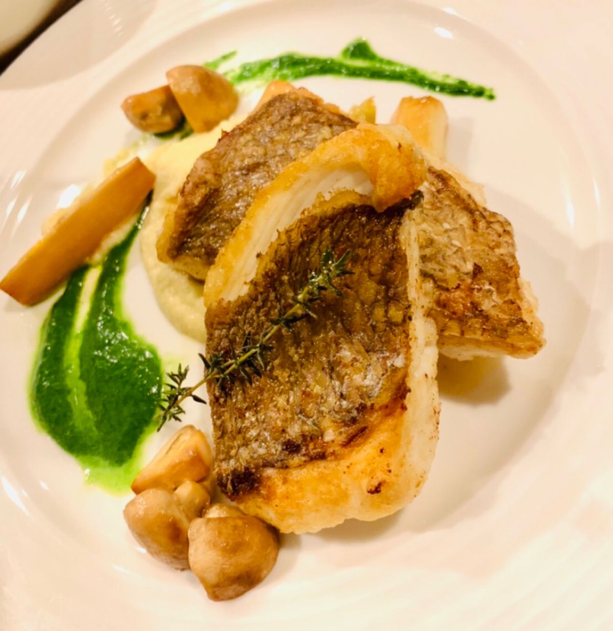 ROGGY(ろぎー)さんの釣果 2枚目の画像