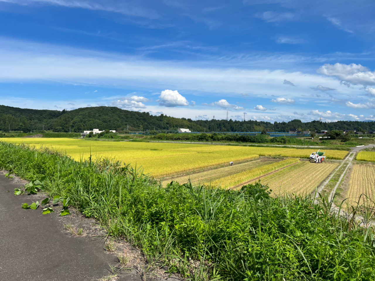 スモールマウスバス