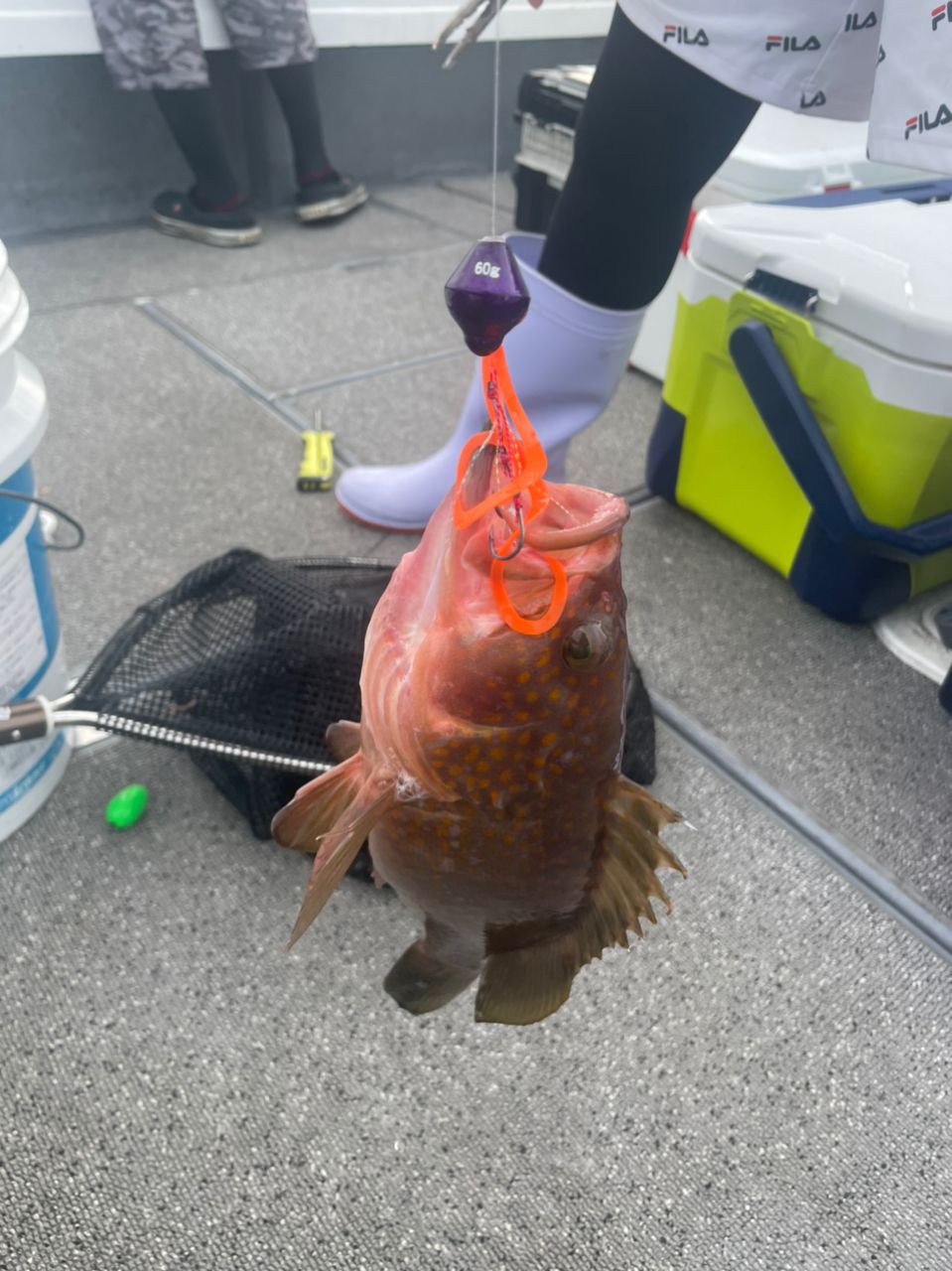 みよっさん。さんの釣果 2枚目の画像