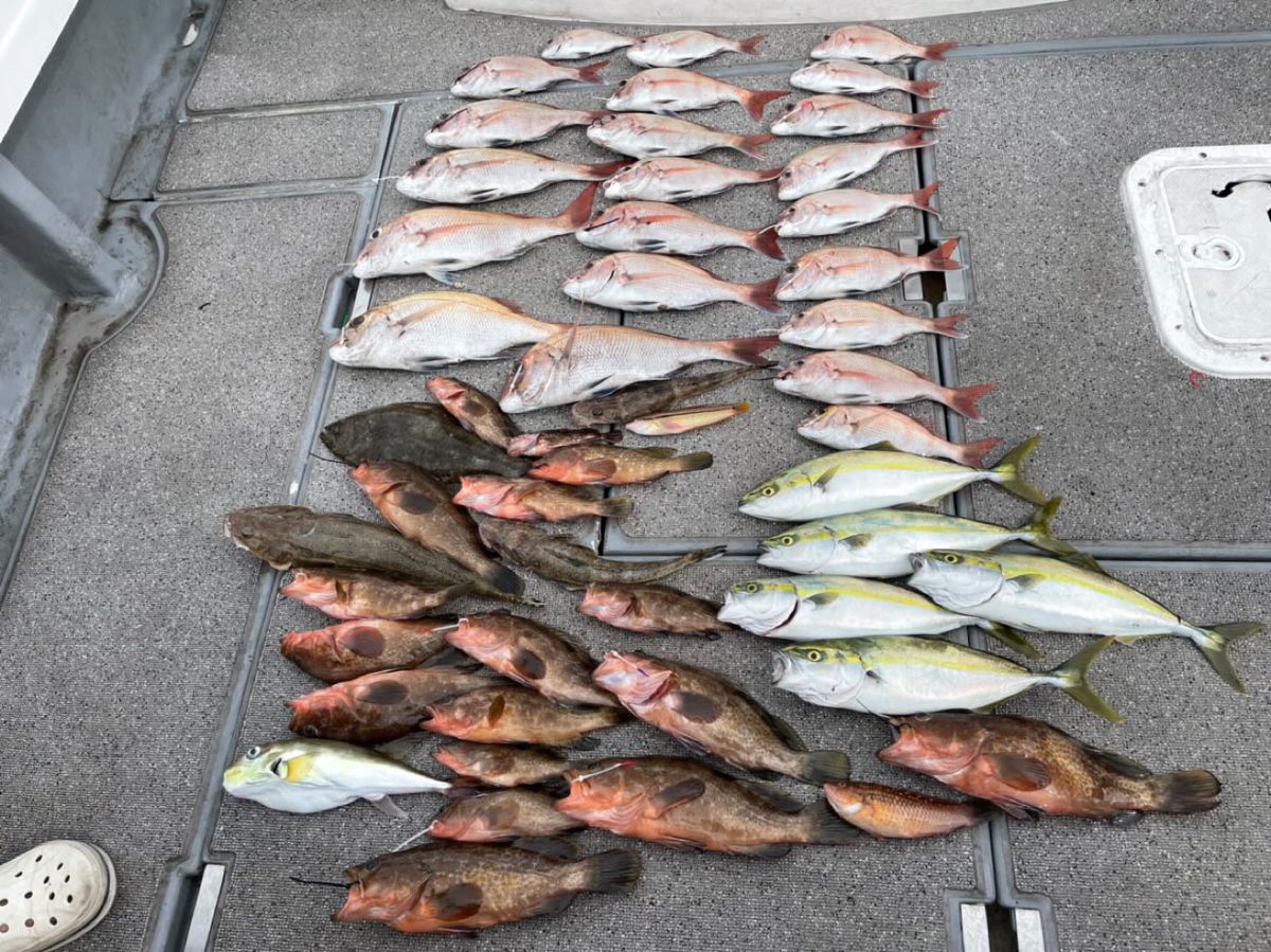 みよっさん。さんの釣果 3枚目の画像