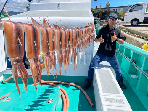 スルメイカの釣果