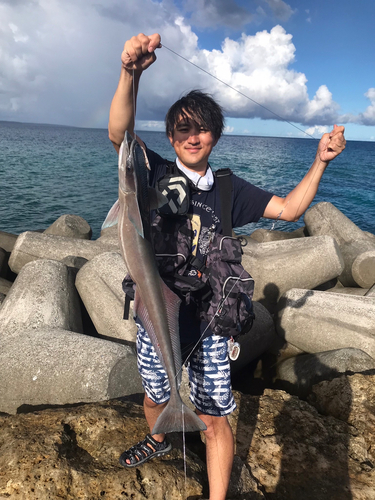 コバンザメの釣果