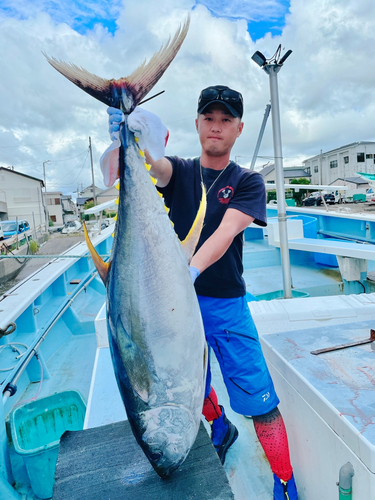 キハダマグロの釣果