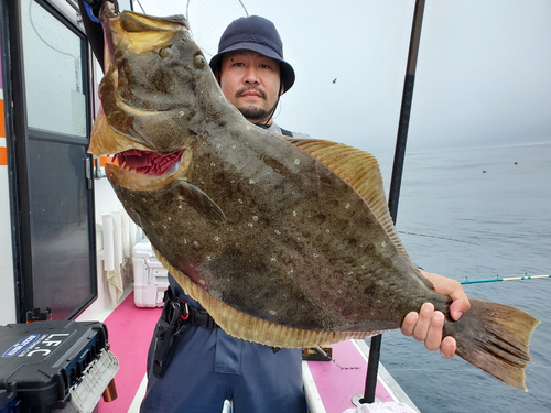 ヒラメの釣果