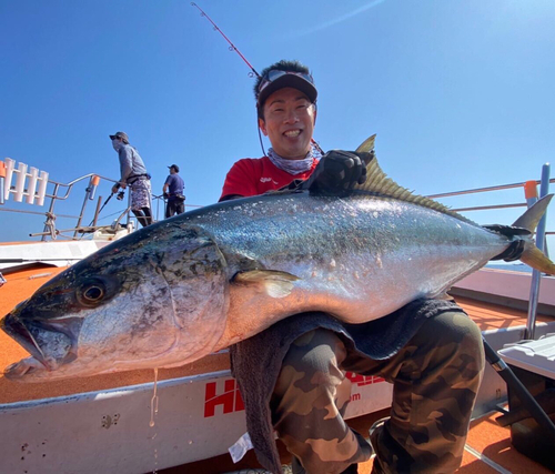 ヒラマサの釣果