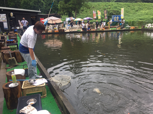 コイの釣果