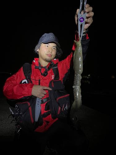 クロアナゴの釣果