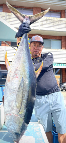 キハダマグロの釣果