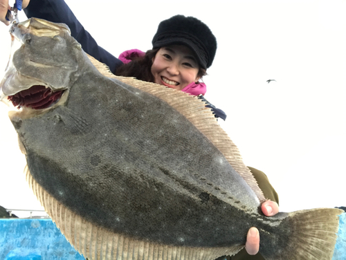 ヒラメの釣果