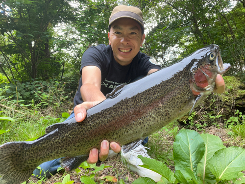 ニジマスの釣果