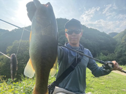 ブラックバスの釣果