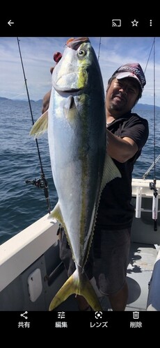 ブリの釣果