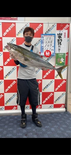 ブリの釣果