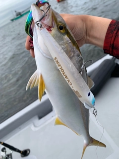 シオの釣果