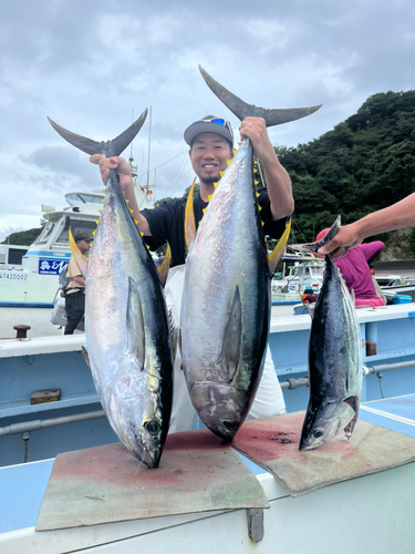 キハダマグロの釣果