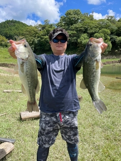 ブラックバスの釣果