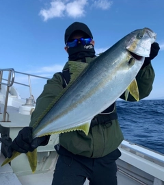 ヒラマサの釣果