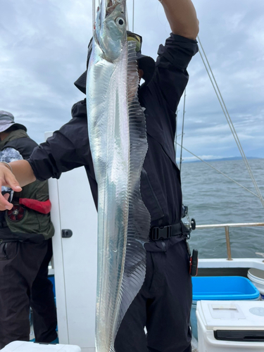 タチウオの釣果