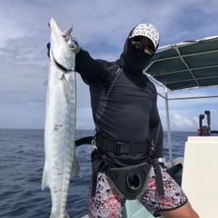 オニカマスの釣果